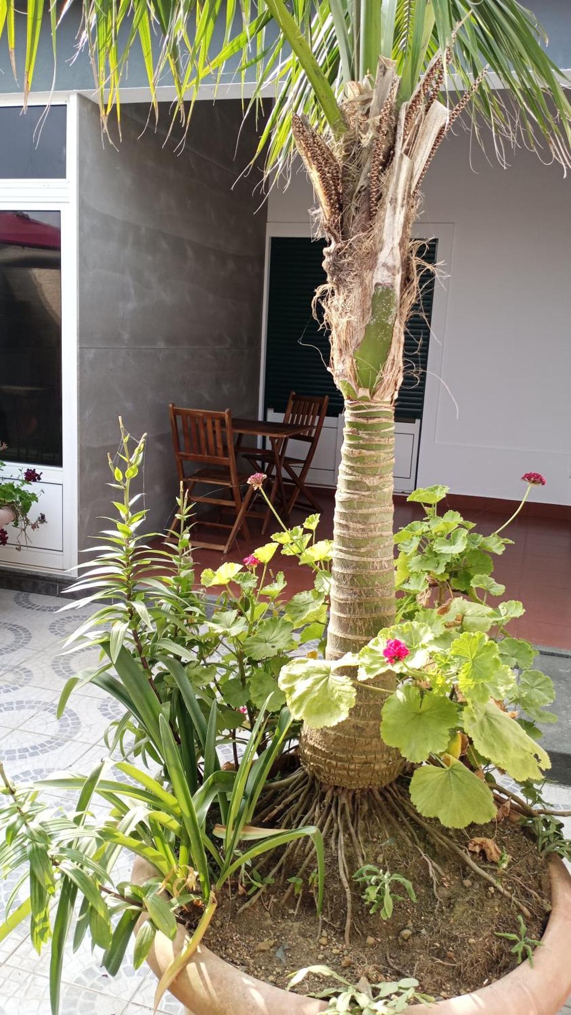 Bed and breakfast Areal De Santa Barbara Sea View *